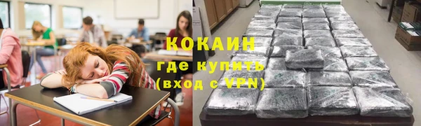 твердый Богородицк