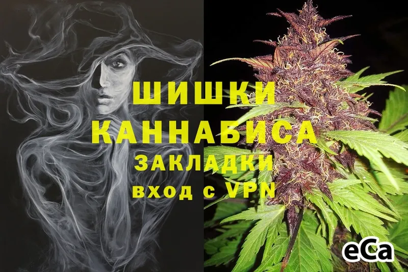 Конопля Bruce Banner  магазин продажи наркотиков  Западная Двина 